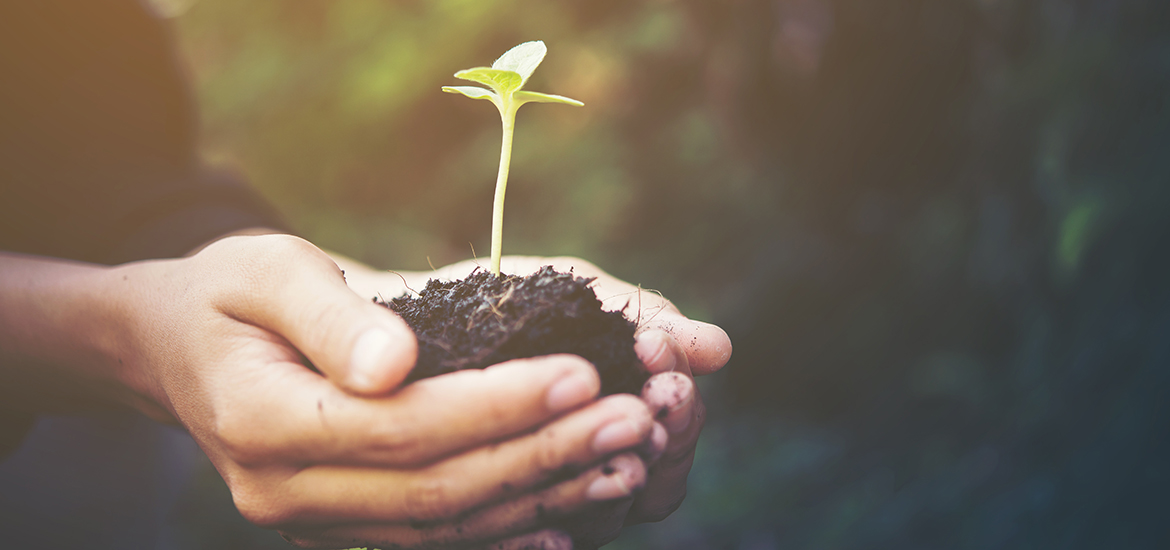 AGRICULTURE AND AGRIBUSINESS