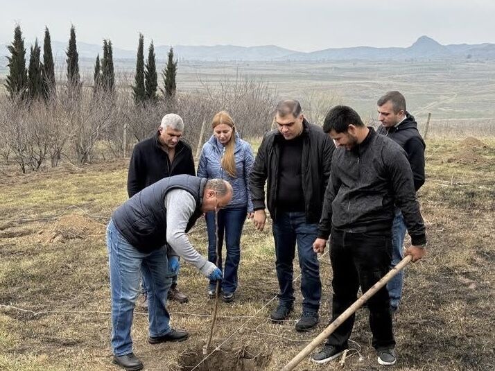CAFSEP Project Launches Seedling Distribution and Tree-Planting Activities