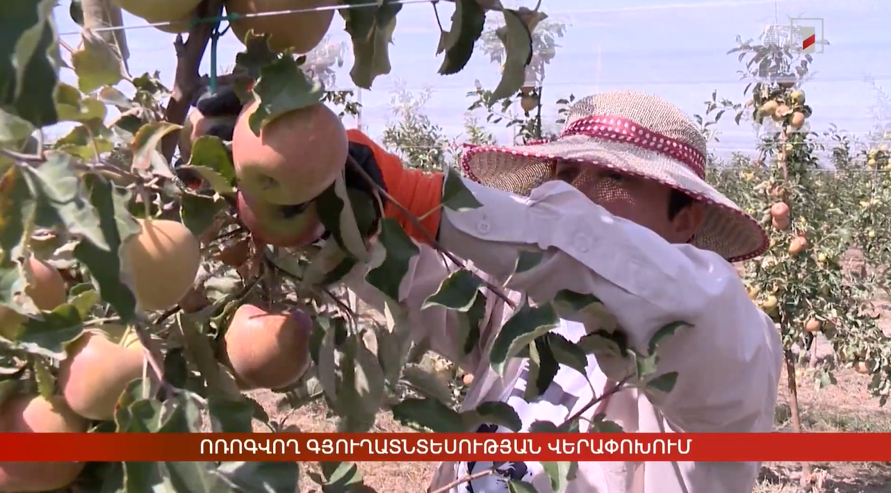 Agri-Food Value Chain Analysis Тraining